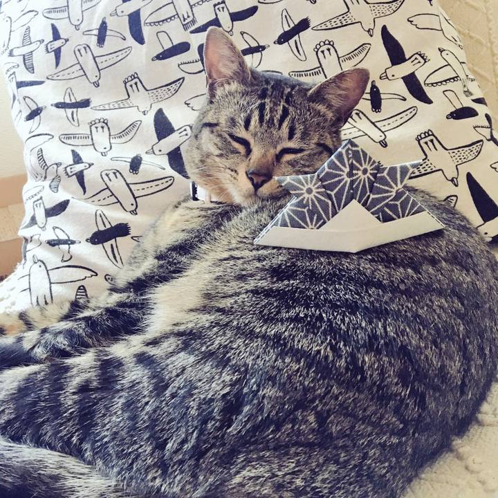 6bec3bf8 2a8d 4752 a6f8 99b138e32125