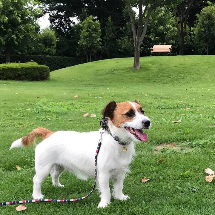 6bec646d 4036 45f3 9b06 75866eba3101