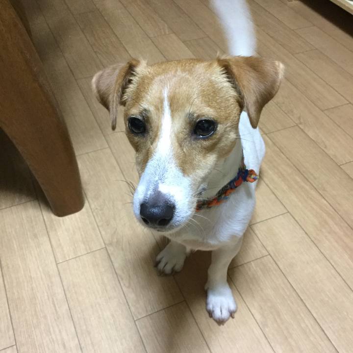 6becf882 e040 4ca9 8128 abcd9216311a