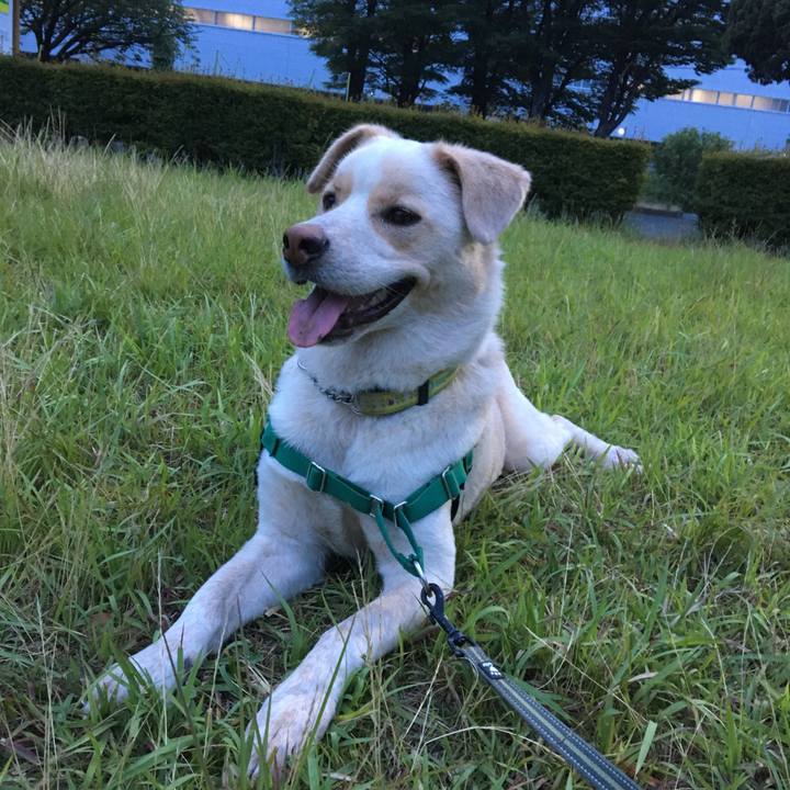 6bed07d7 0168 4a46 893c edf5b6fef2d4