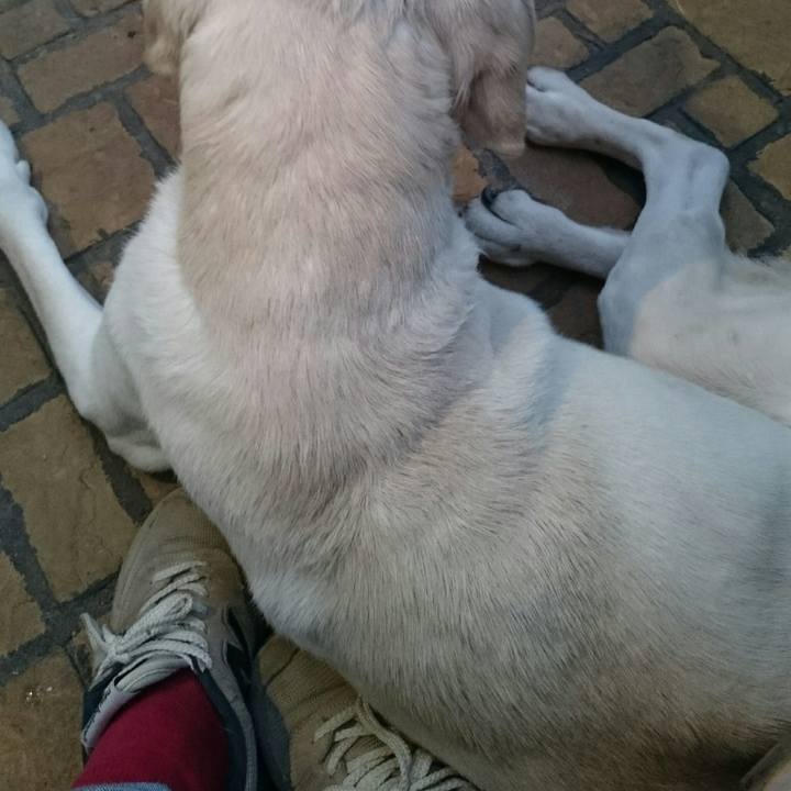 6bedcf1e 5196 43e3 a514 15a25b1f4366