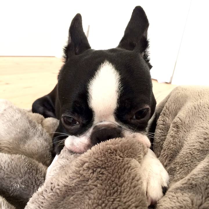 6bedf23b dd3e 409f b9cd d7100ee00ca7