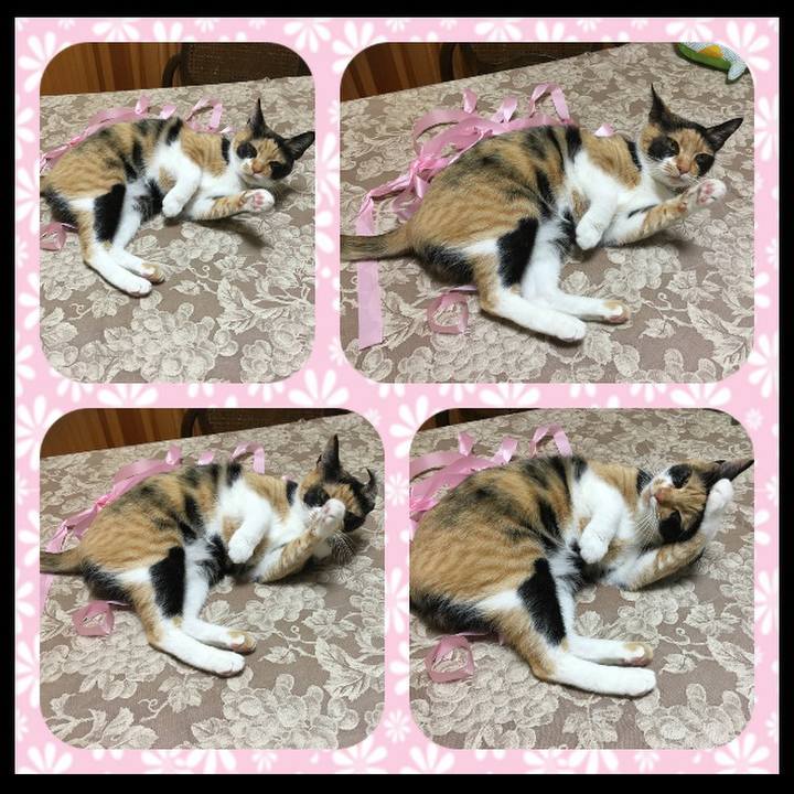 6bee3c8a 217e 4534 aad3 9a96122996fe