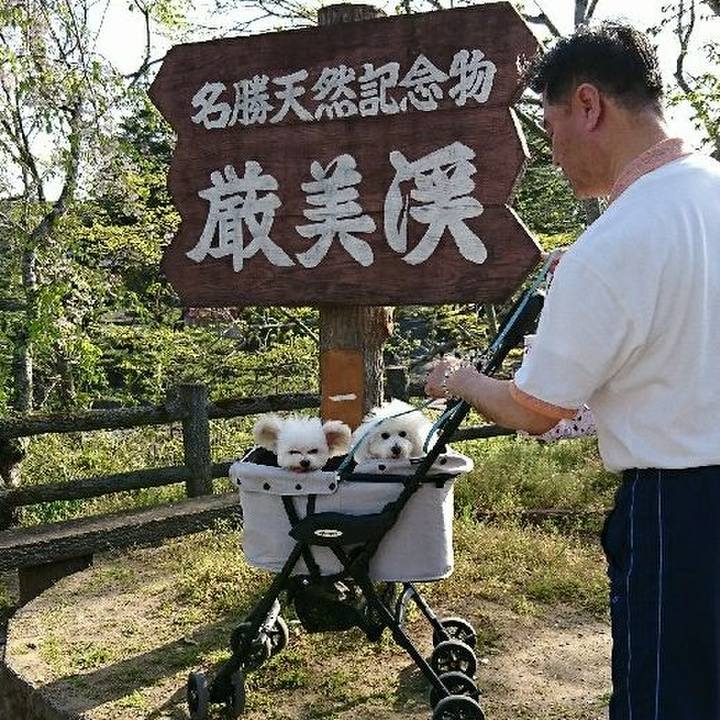 6beee760 6f3a 4da3 a3b2 e4d462f9375b