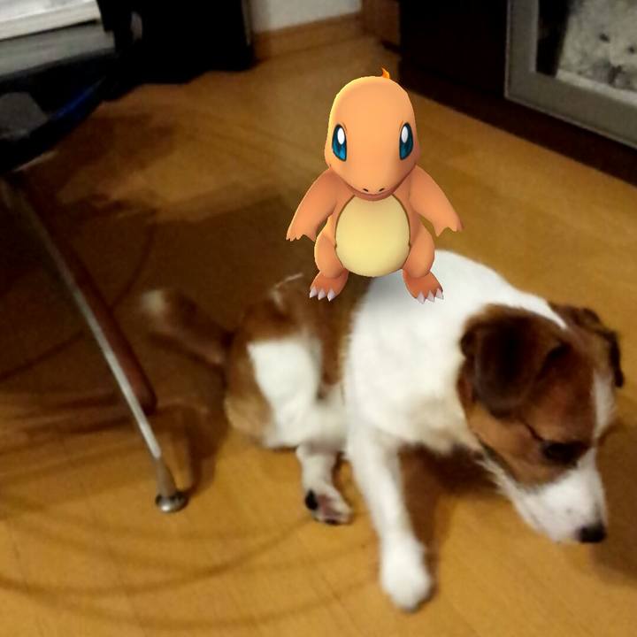 6bef4379 a0ea 4768 90f7 0fcac4043f46