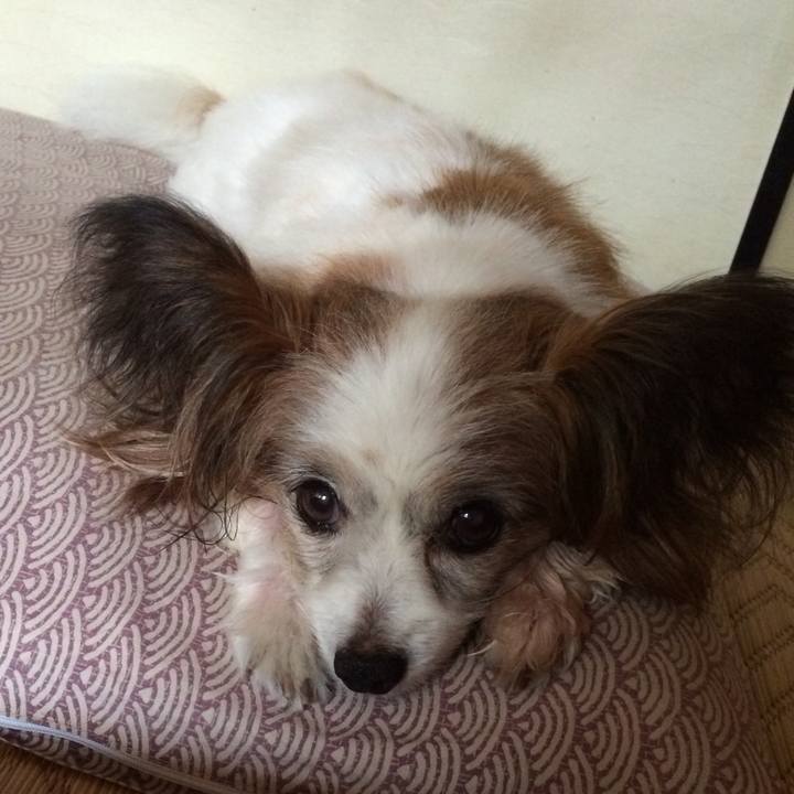 6bef8887 92f3 480b aa7f ed6ca33341ce