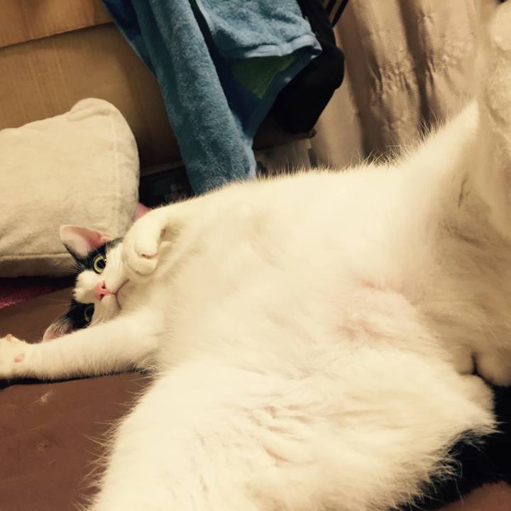 6befc604 a849 4106 948c 94848ac36e86