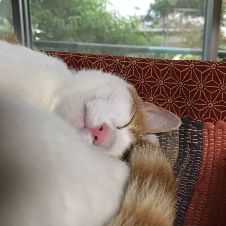 6beff45b 021d 49e1 b8d5 fbccecfe450e