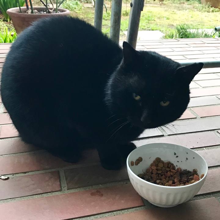 6bf03f96 e28f 4f9a 867d 7ffac03cbd2f