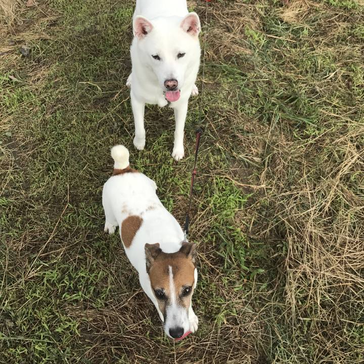 6bf05829 2aae 49d4 ae5b 11a06dcc0b3c