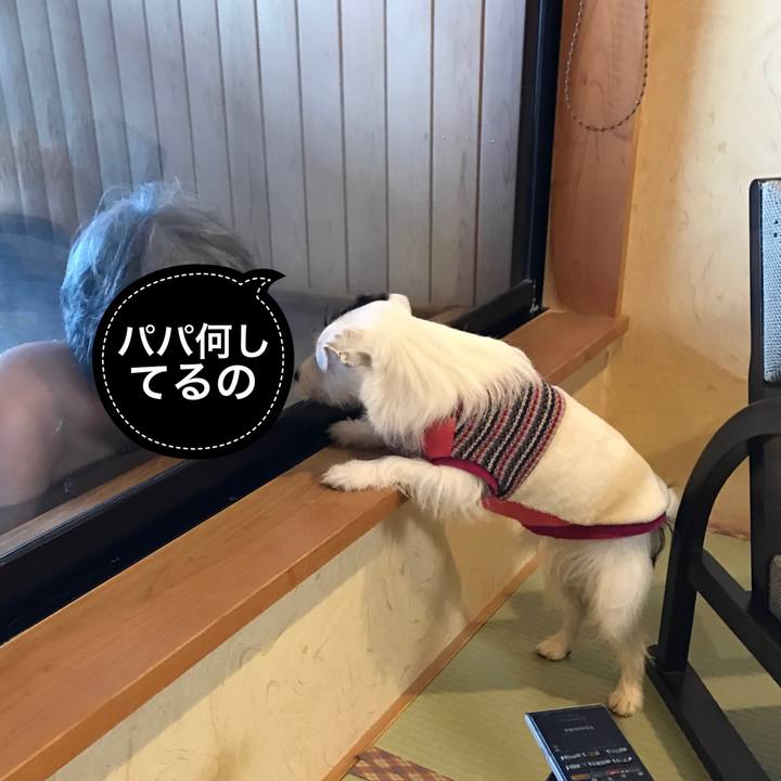 6bf076b3 46a8 4f27 9bf7 9749ee5df14f