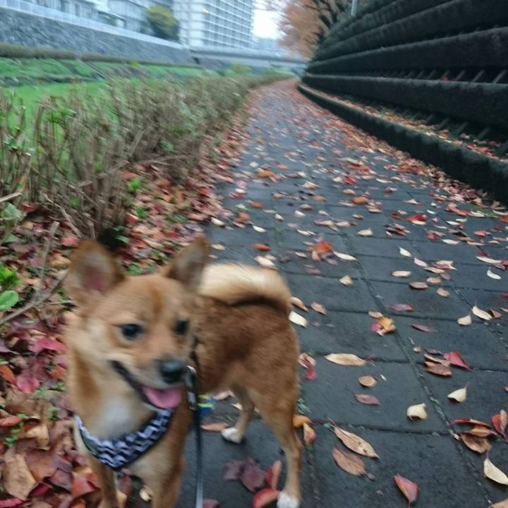 6bf08888 9fcc 4e56 ab7b 62957efb5265