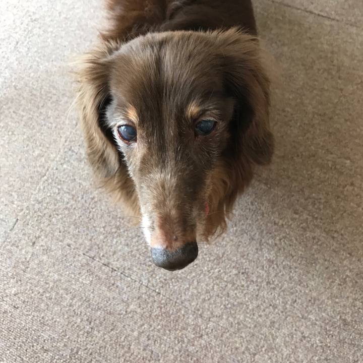 6bf0e57b e1f6 48e5 a9d0 68a0ec34da2d