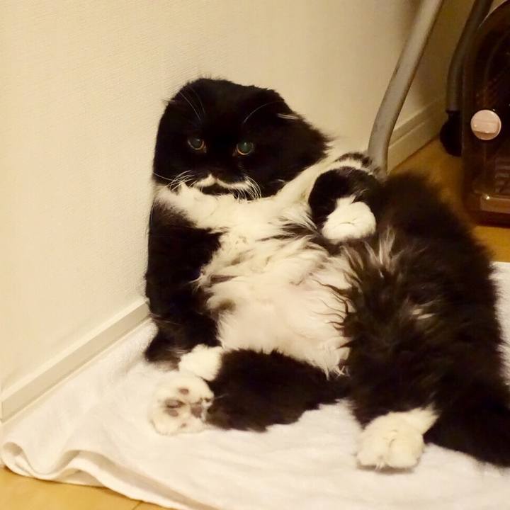 6bf0e8d4 c07e 4f73 a67d ddb16362929c