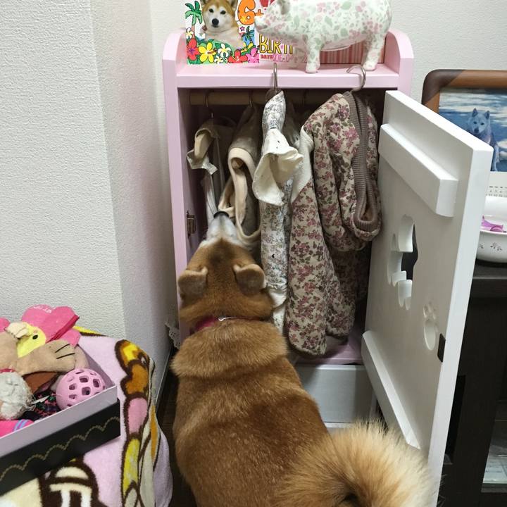 6bf17a60 46f6 468d a471 0aee9e46360d