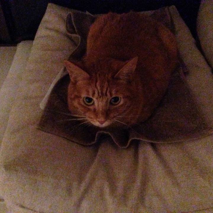 6bf1a216 c1ae 4fce ba1a 1f940222a638