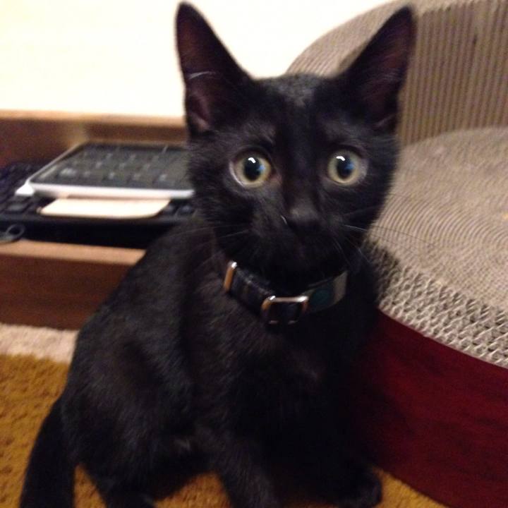 6bf20c7b d869 410a 8429 f961c3127e5b