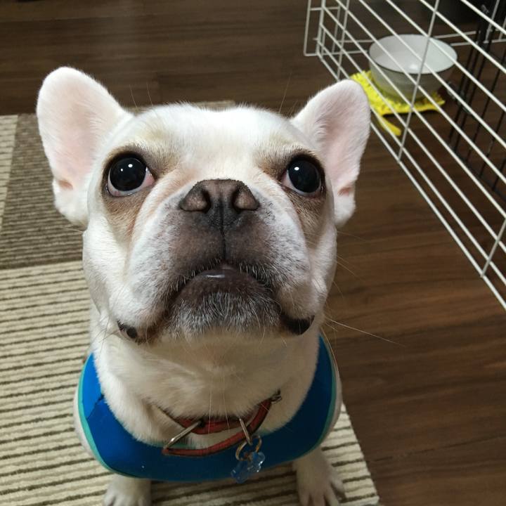 6bf22e3a a71d 48f5 9a8a a2da48986b35