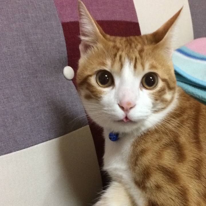 6bf26723 7e0b 4d68 8320 73d6d6c0801e