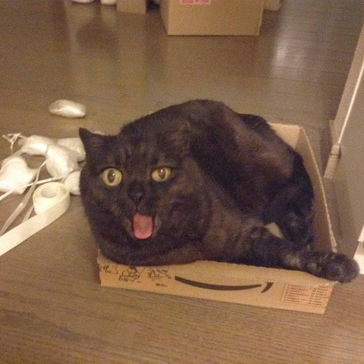 6bf2dc34 acc8 4260 bbe3 3bbdde52848d