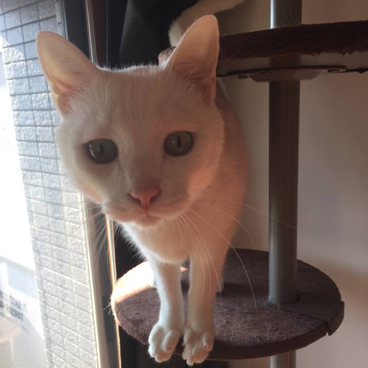 6bf32022 146f 45e6 9a6b 6983ddb91e2a