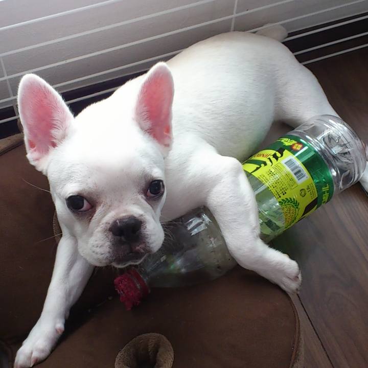 6bf3fb12 b27f 437e a92f 4c280d2b30bf