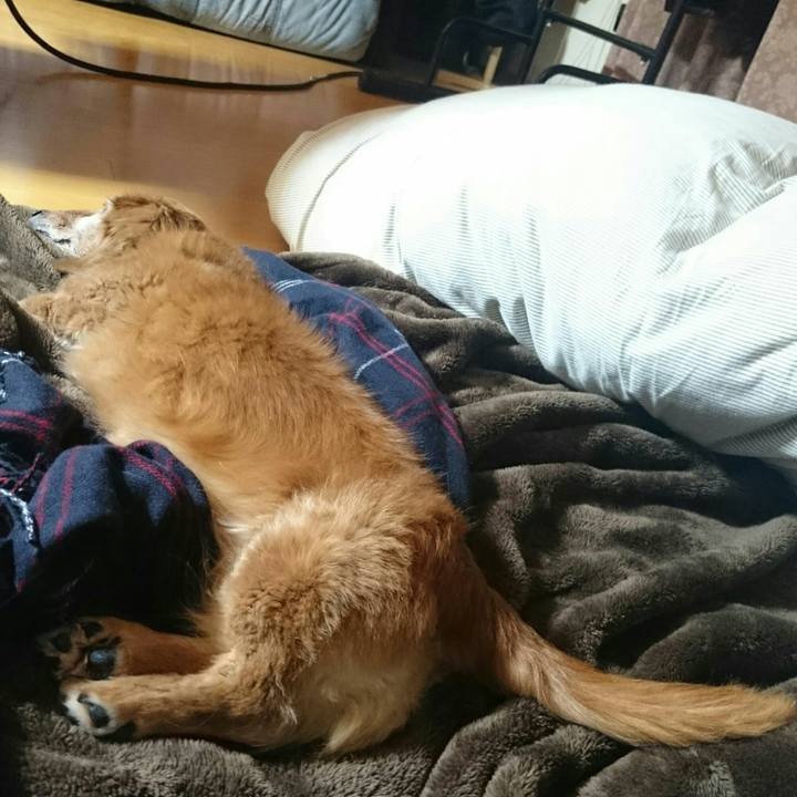 6bf4b029 7bcc 46b0 b003 422adffc547d