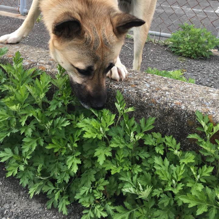 6bf4c47e d527 45cc 96ab 11f1b254a98c