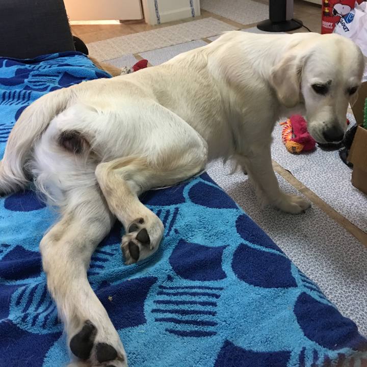 6bf4f585 eba1 46fe 9c46 1b1dce60fdc2