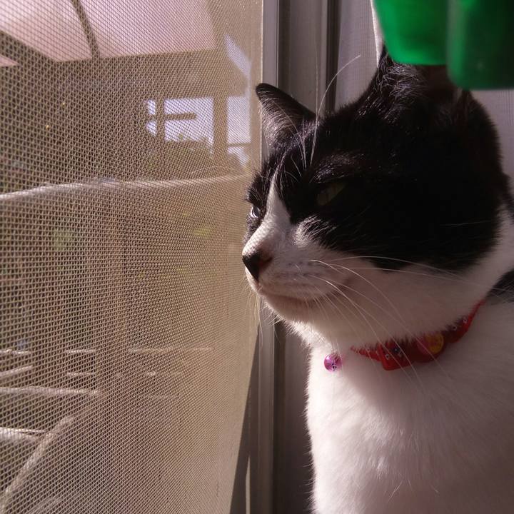 6bf57c92 9327 4995 9155 3f8213d833cc