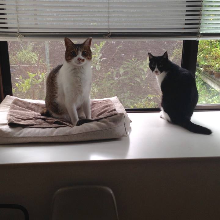 6bf5bbfa b749 4e5f a35c 29a780ad30c5