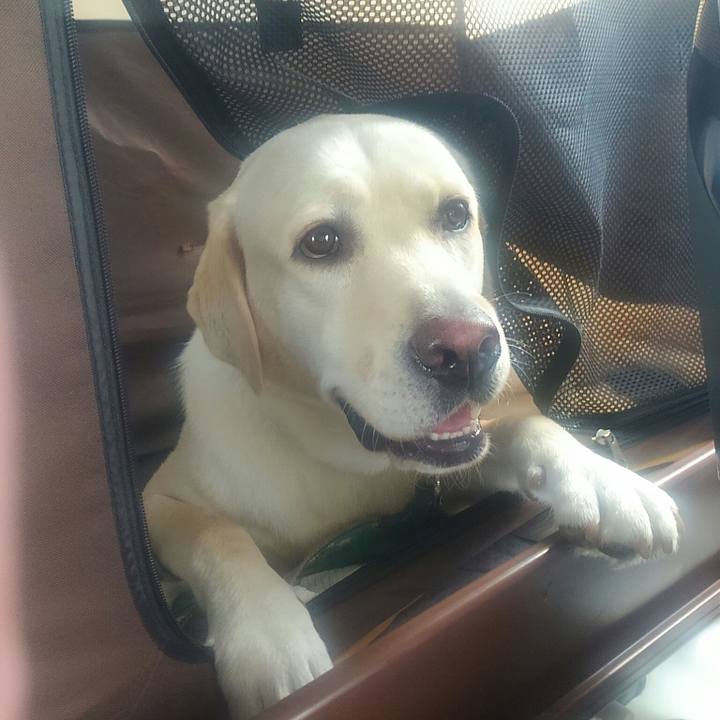 6bf5cc04 22d2 4461 8654 329dce1b66f2