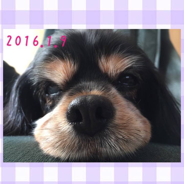 6bf5d07d cf7b 4d36 be88 1804139c54af