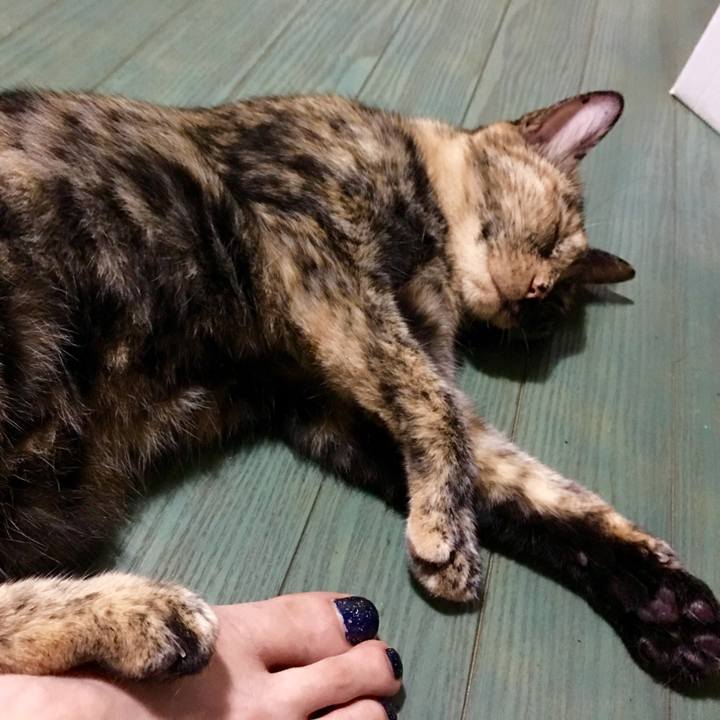 6bf678dd 55d3 492f 9424 3630315e7531