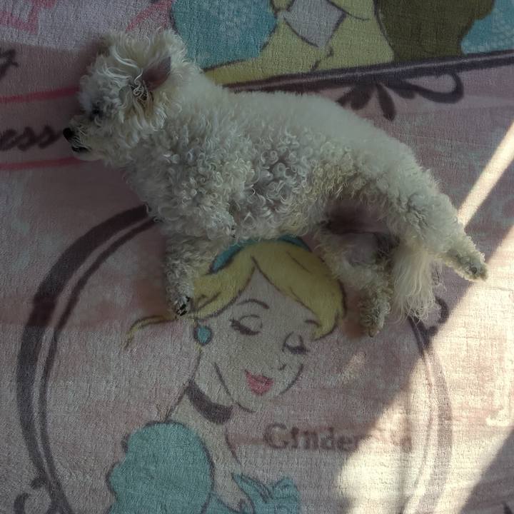 6bf6baef 4659 4f38 844a ef8c046a2593