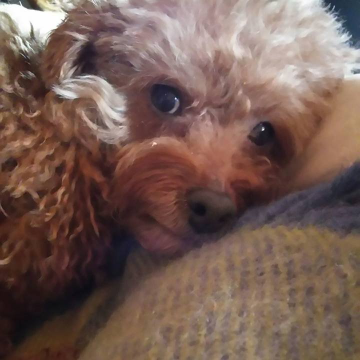 6bf6c4a1 3660 4cdf 8749 2037a76fbcdf