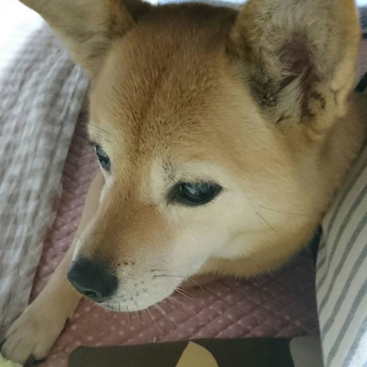 6bf6e665 84df 4eaa bb15 cb19e56cdf94