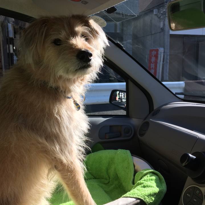 6bf7ac3c 0010 475b a6b9 3b4e33cc14b5