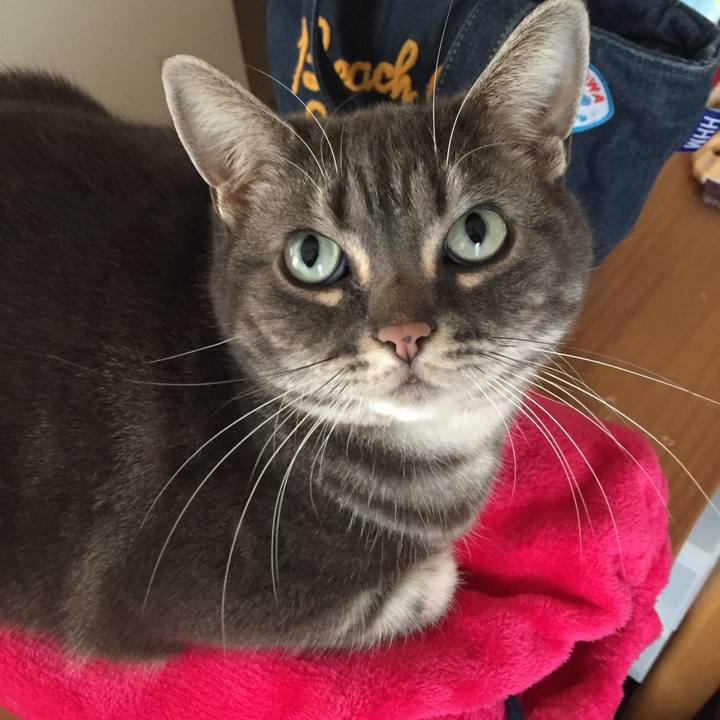 6bf7add4 d9e3 4505 bdbe 41dec2ddbab4