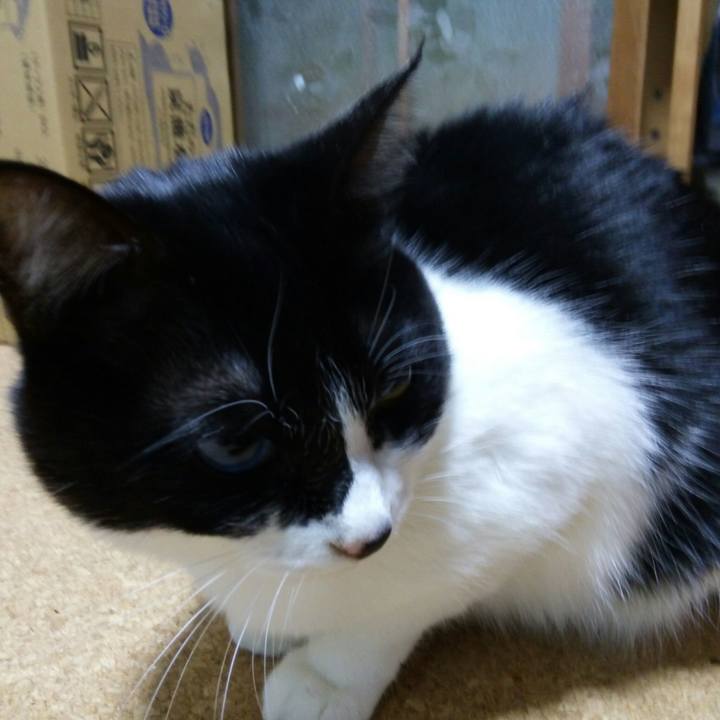 6bf836eb 6e14 476a bee5 a5f5a54d1b39