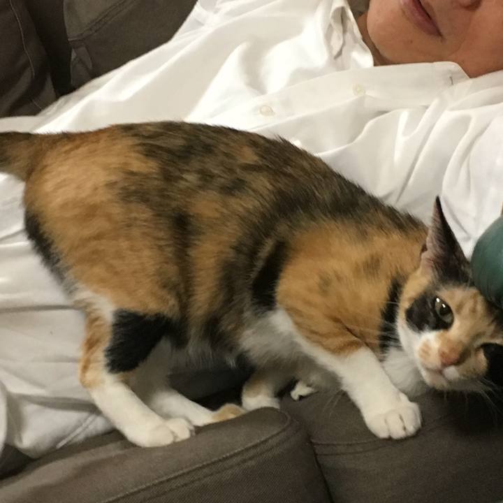 6bf867ba ef03 4fed 9a4c 265c675a0f4b