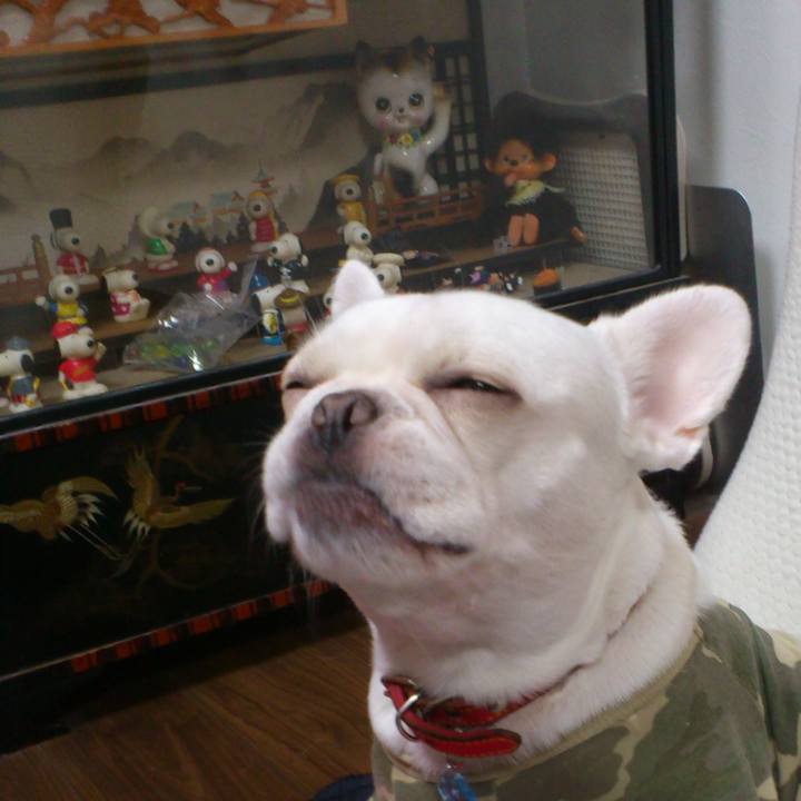 6bf9199f 6352 40ba ad7f 123e52ad1121