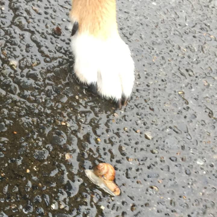 6bf9343b 6ba3 4738 8939 6d8dd29d93fb