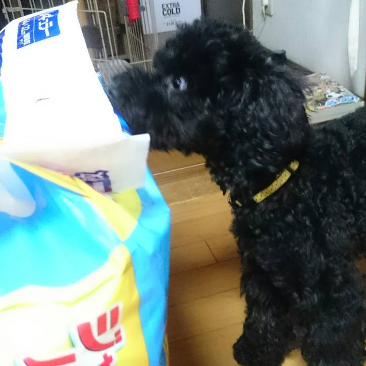 6bf95922 d10f 44f5 89fd 3073d610f241