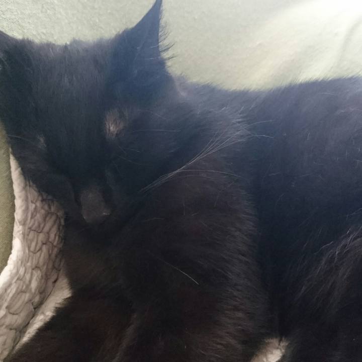 6bf9ac2d 4c8d 44f6 a51e 867a72d6de59