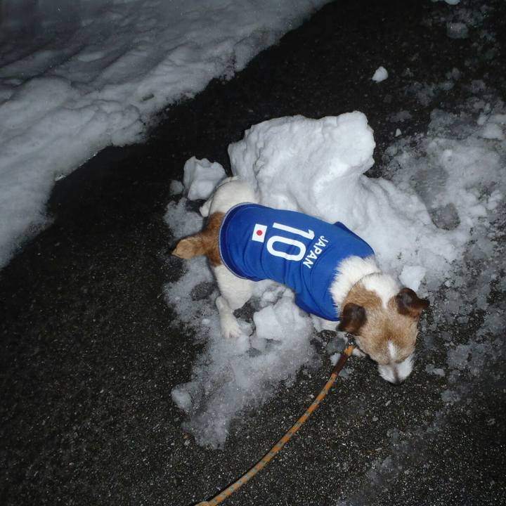 6bfa0423 f084 4a0b 9ff7 bc6b83a10c18