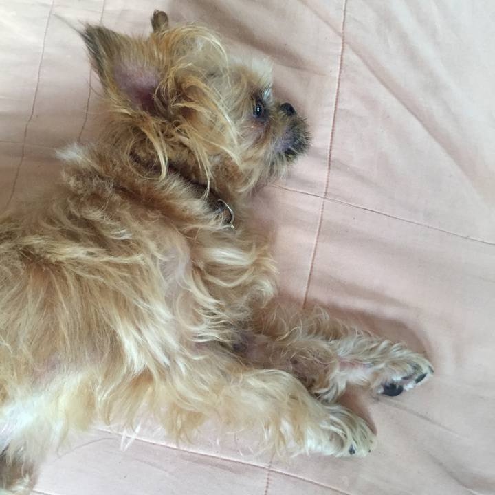 6bfad0b7 5cbb 4057 82b9 3c1dfb8aa149