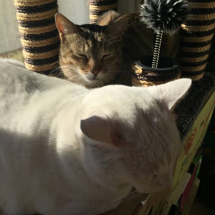 6bfae022 7f00 48a0 92e9 f25ce3433bf3