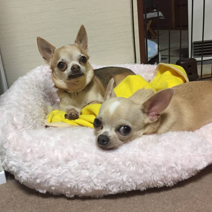 6bfb0e66 39e1 481d bdab 1d5ad553ff31