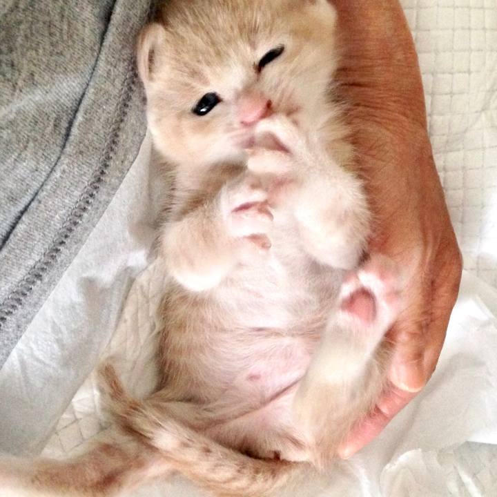 6bfb4511 813f 4fc5 9c2b 3bef2ce46bfd